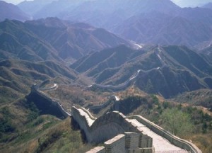 Chines mure