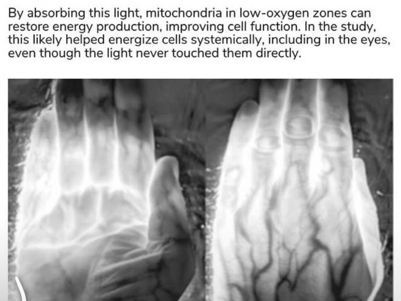 Scans of a hand showing that the hand emits light