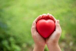 Image of two hands holding a heart